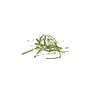 IDEAL 2465 P-2 Security 27 Sheet Strip Cut Multi-Media Commercial Shredder (IDEDSH0068H)~#|#~sp163153121_sc7
