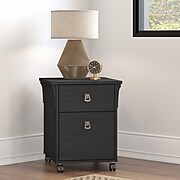 Bush Furniture Salinas 2-Drawer Vertical File Cabinet, Mobile, Letter/Legal, Vintage Black, 20" (SAF118VB-03)