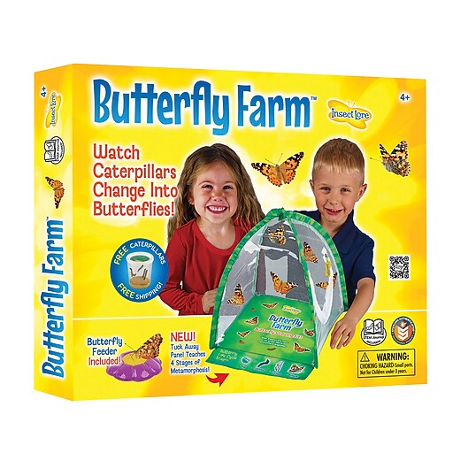 Insect Lore Butterfly Farm Science Manipulative for Students (ILP1015 ...
