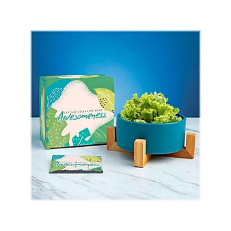 Baudville Haven Plant Set, Blue (92712)