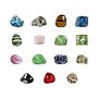 National Geographic Rock and Mineral Starter Kit (RTNGRM15)~#|#~sp166198234_sc7