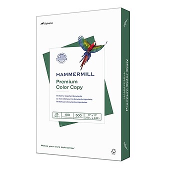  Hammermill Colored Paper, 20 lb Blue Printer Paper, 11 x 17-1  Ream (500 Sheets) - Made in the USA, Pastel Paper, 102137R : Printer And Copier  Paper : Office Products