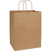 Deluxe Bags & Bows Paper Shopping Bag, 12" W x 9" D x 15 1/2" H, Kraft Paper, Kraft, 200/Box, 15-120915-RK