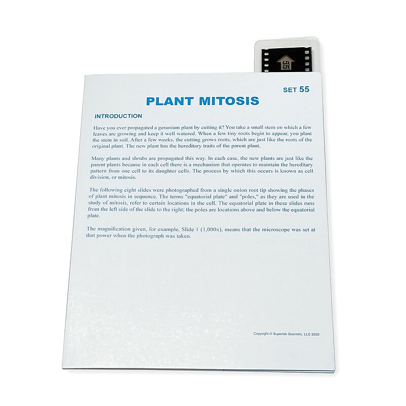 Supertek Microslide, Plant Mitosis, 35mm (SKFT55) image 1