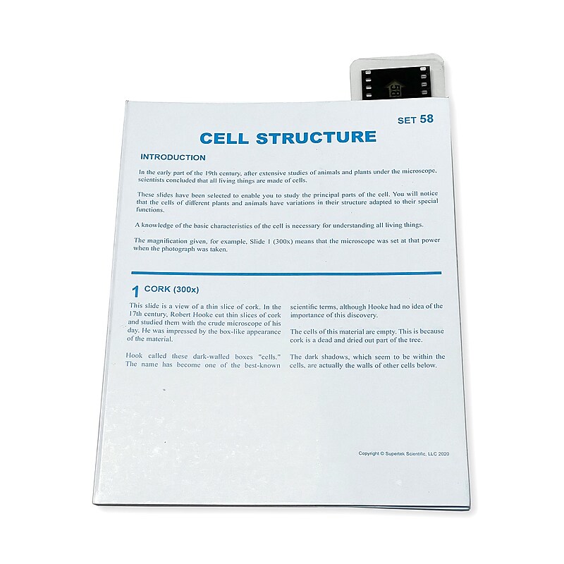Supertek Microslide, Cell Structure, 35mm (SKFT58) image 1