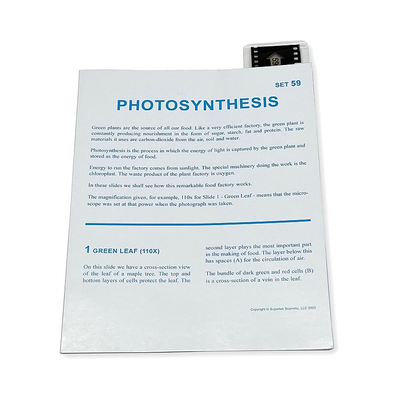 Supertek Microslide, Photosynthesis, 35mm (SKFT59) image 1