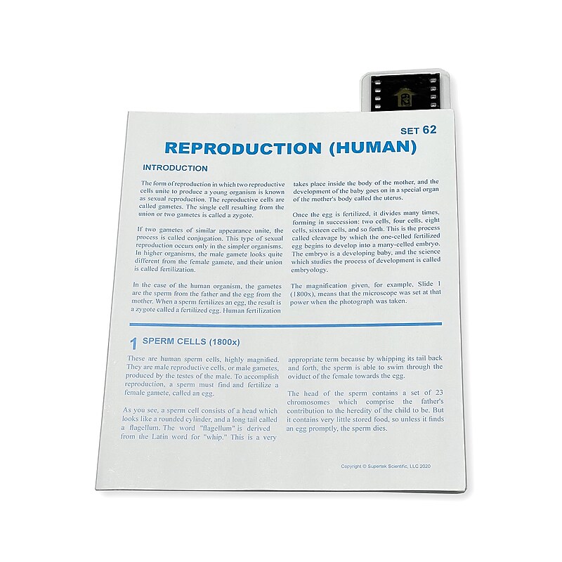 Supertek Microslide, Reproduction, 35mm (SKFT62) image 1