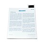 Supertek Microslide, Plant Meiosis, 35mm (SKFT92)~#|#~sp167909192_sc7