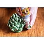 Gorilla Original Liquid Glue, 8 oz. (5000806)~#|#~sp168015074_sc7