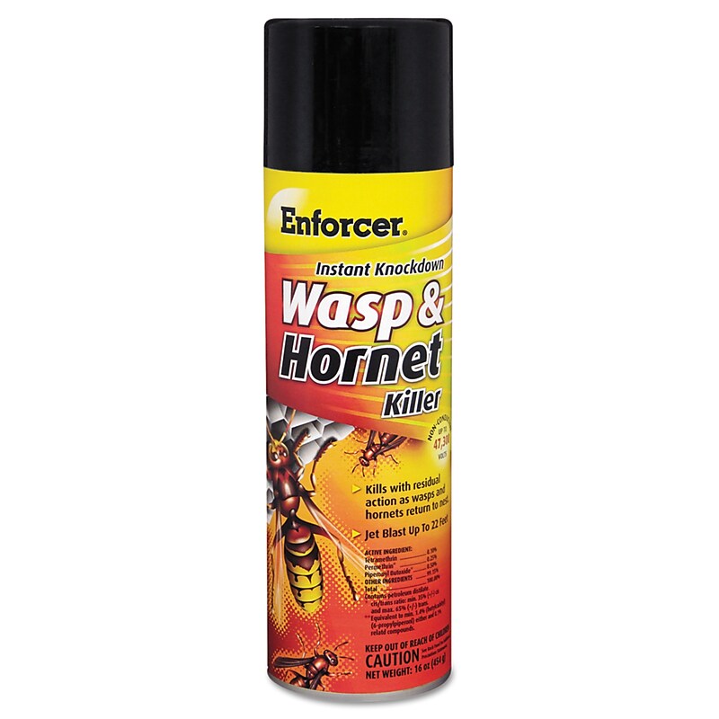 Enforcer Wasp and Hornet Killer IIb, 16 oz Aerosol, 12/Carton image 1