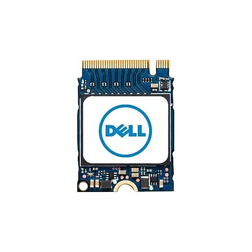 爆速15倍速 Nvme M.2 SSD DELL 3010 i5 16g Dell 256GB M.2 PCI Express Internal Solid State Drive (SNP112233P