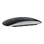 Apple Magic Wireless Ambidextrous Laser Mouse, Black/Silver (MMMQ3AM/A)~#|#~sp168613517_sc7