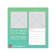 2022-2023 BrownTrout Taylor Swift OFFICIAL 12" x 12" Monthly Wall Calendar (9781975450038)