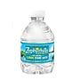 Zephyrhills 100% Natural Spring Water, 8 oz., 48/Pack (11475286)~#|#~sp170186051_sc7