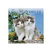 2023 StarGifts Kitten Cuddles 12" x 12" Monthly Wall Calendar (9781975453459)
