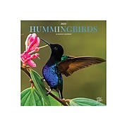 2023 StarGifts Hummingbirds 12" x 12" Academic & Calendar Monthly Wall Calendar (9781975455576)