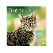 2023 StarGifts I Love Cats 12" x 12" Academic & Calendar Monthly Wall Calendar (9781975455583)
