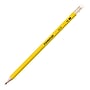 Staedtler Pre-Sharpened Wooden Pencil, 0.7mm, #2 Medium Lead, 144/Box (13247C144A02NA)~#|#~sp170350607_sc7