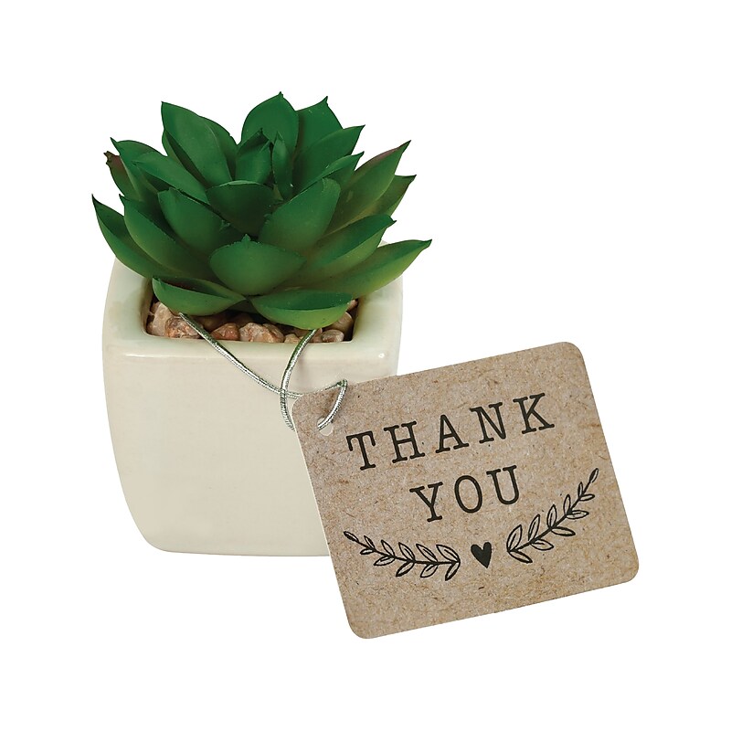 Merangue Gift Faux Succulent, White/Green (8082-0110-00-000) image 1