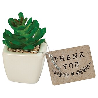 Merangue Gift Faux Succulent, White/Green (8082-0110-00-000)