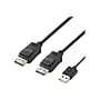 Belkin Secure 6' Display Port to USB C Audio/Video Monitor Cable, Black (F1DN2MOD-HC-P06)~#|#~sp173359709_sc7
