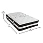 Flash Furniture Leo Platform Bed Frame with 12" Pocket Spring Mattress and 2" Memory Foam Topper, Twin (XUBD12PSM2M35T)~#|#~sp175519410_sc7