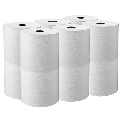 HDX Paper Towels (12-Roll)