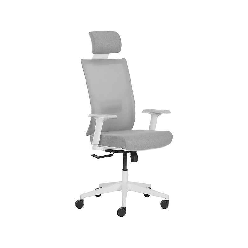 La-Z-Boy Joel Ergonomic Mesh Swivel Executive Chair, Gray/White (60065) image 1
