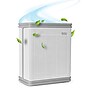 Black & Decker UV Light 18-Inch Portable Tower Air Purifier, 5-Speed, White (BAPUV250)~#|#~sp179708699_sc7