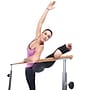Gofit GoBarre Workout Set (GF-BBAR)~#|#~sp179713639_sc7