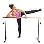 Gofit GoBarre Workout Set (GF-BBAR)~#|#~sp179713646_sc7