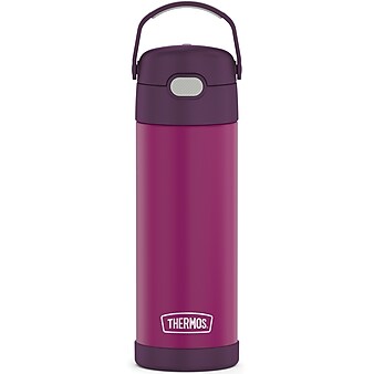 Thermos 16-Ounce FUNtainer Vacuum-Insulated Stainless Steel Bottle with Spout, Red Violet (F41101RV6)