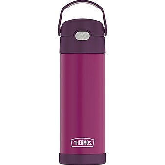 Thermos 16-Ounce FUNtainer Vacuum-Insulated Stainless Steel Bottle with Spout, Red Violet (F41101RV6)