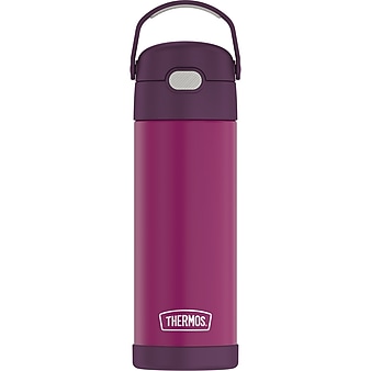 Thermos 16-Ounce FUNtainer Vacuum-Insulated Stainless Steel Bottle with Spout, Red Violet (F41101RV6)