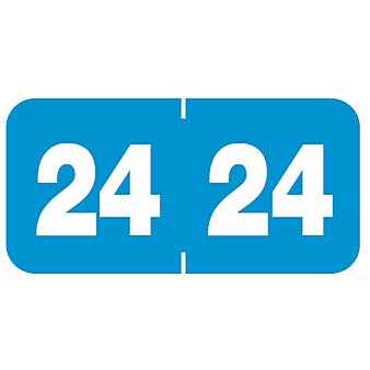Medical Arts Press Jeter Compatible 2024 Year Roll Style Labels, Blue, 500/Roll (3266924)