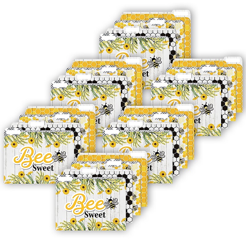 Eureka The Hive File Folders, Straight Cut, Letter Size, Assorted Colors, 4/Pack, 6 Packs/Bundle (EU-866447-6) image 1
