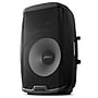 Gemini Active 15" Bluetooth Loudspeaker with Stand & Wired Microphone, Black (AS-2115BT-PK)~#|#~sp189488337_sc7