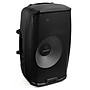 Gemini Active 15" Bluetooth Loudspeaker with Stand & Wired Microphone, Black (AS-2115BT-PK)~#|#~sp189488339_sc7