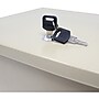Nadex Coins Fire-Retardant Security Box with Keyed Lock, Beige (NCS8-2010)~#|#~sp189571141_sc7