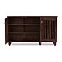 Baxton Studio Fernanda Shoe Storage Cabinet, Brown (118-6511-HiT)~#|#~sp190300065_sc7