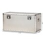Baxton Studio Serge 13.98" High Storage Trunk, Silver (160-10246-HiT)~#|#~sp190526725_sc7