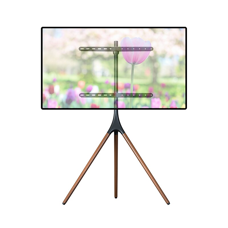 ProMounts Tripod Floor Stand TV Mount, 55 lbs. image 1
