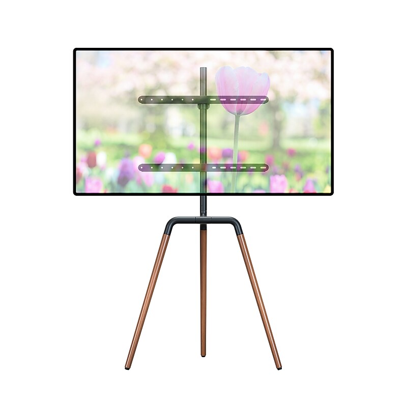 ProMounts Swivel Floor TV Stand Mount, 99 lbs. image 1