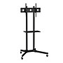 ProMounts Rolling Stand TV Mount, 110 lbs.~#|#~sp193859541_sc7