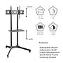 ProMounts Rolling Stand TV Mount, 110 lbs.~#|#~sp193859558_sc7