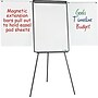 MasterVision Basic Tripod Melamine Presentation Easel, Black, 22.5" x 42" (BVCEA2300045)~#|#~sp198366499_sc7