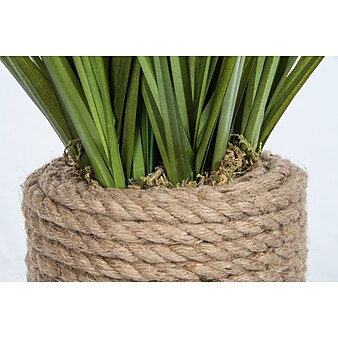 Vintage Home Onion Grass in Rope Vase 40”H (VHA102454)