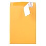JAM Paper Peel & Seal Kraft Open End  Catalog Envelope, 6 1/2" x 9 1/2", Brown, 500/Pack (13034229C)~#|#~sp20131829_sc7