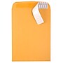JAM Paper Peel & Seal Kraft Open End Catalog Envelope, 9 1/2" x 12 1/2", Brown, 500/Pack (13034232C)~#|#~sp20131842_sc7