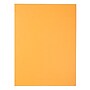 JAM Paper Peel & Seal Kraft Open End Catalog Envelope, 9 1/2" x 12 1/2", Brown, 500/Pack (13034232C)~#|#~sp20131845_sc7